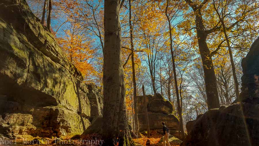 Climbing up to Whipps Ledges at Hinckley Reservation in Ohio