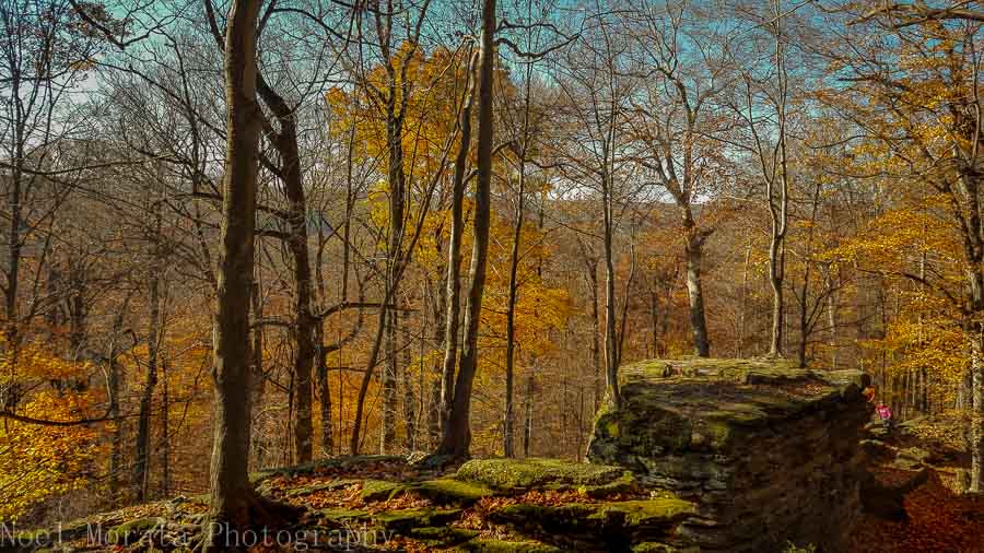 Looking out from Whipps Ledges in Hinckley Reservation, Ohio