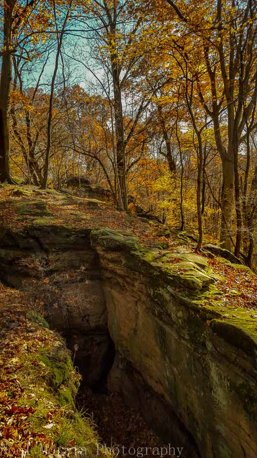 Looking down at crevices in Whipps Ledges in Hinckley Reservation, Ohio