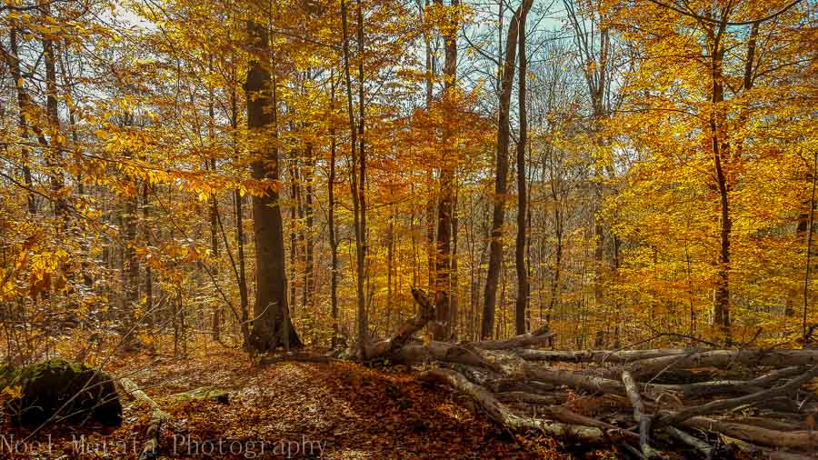 Fall season at Whipps Ledges in Hinckley Reservation, Ohio
