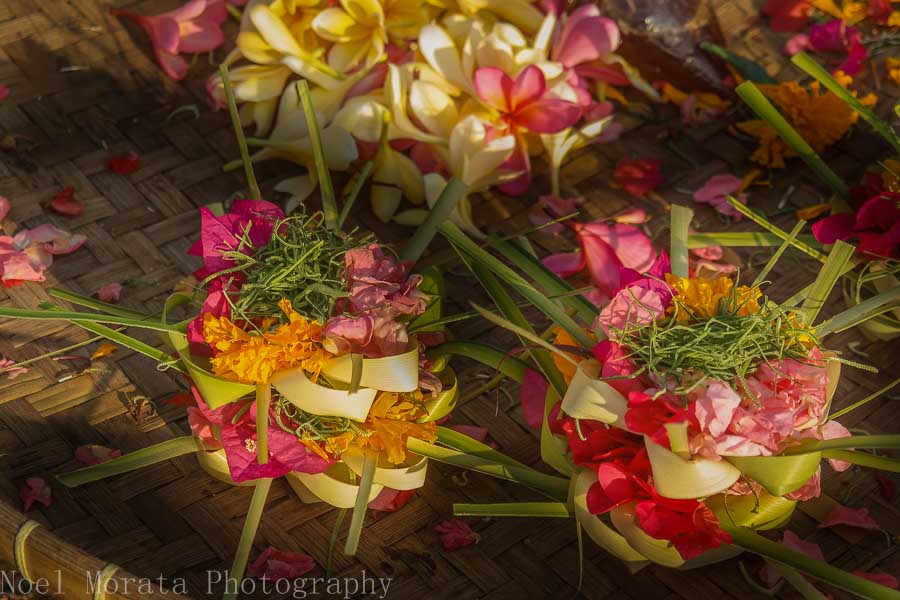 Daily Bali flower offering - Markets in Bali
