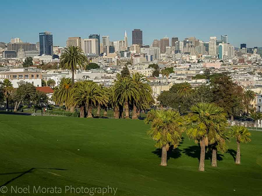 Looking at downtown San Francisco from Dolores park