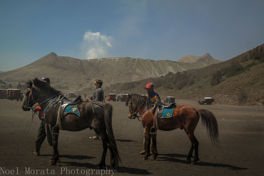 Waiting for more passengers for Bromo crater