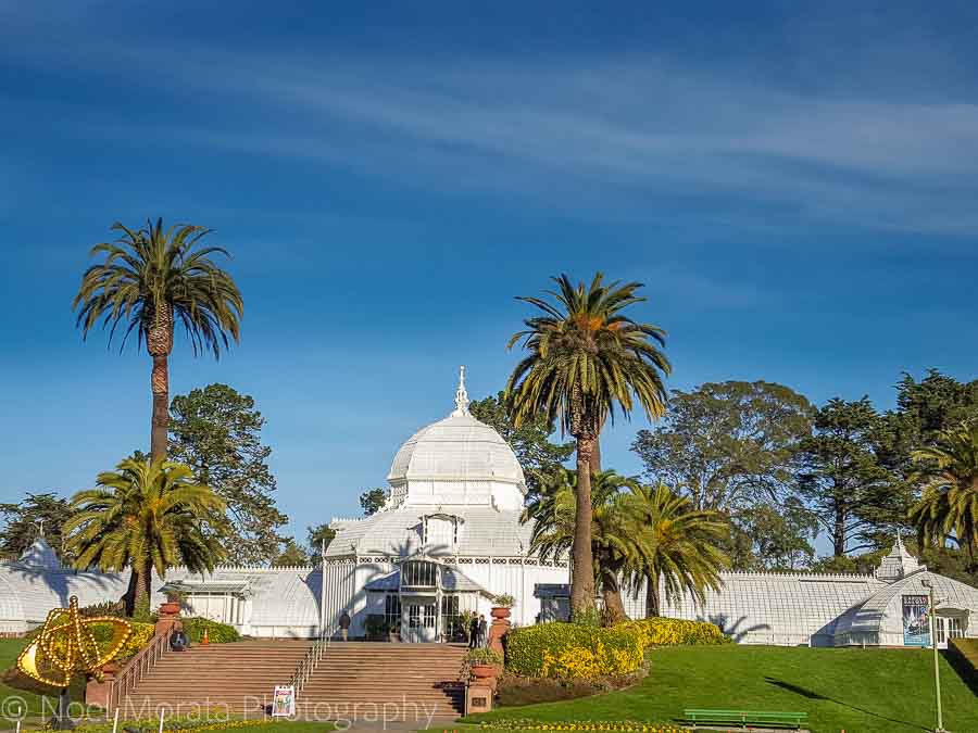 Conservatory of Flowers - Fun and unusual activities to do in San Francisco