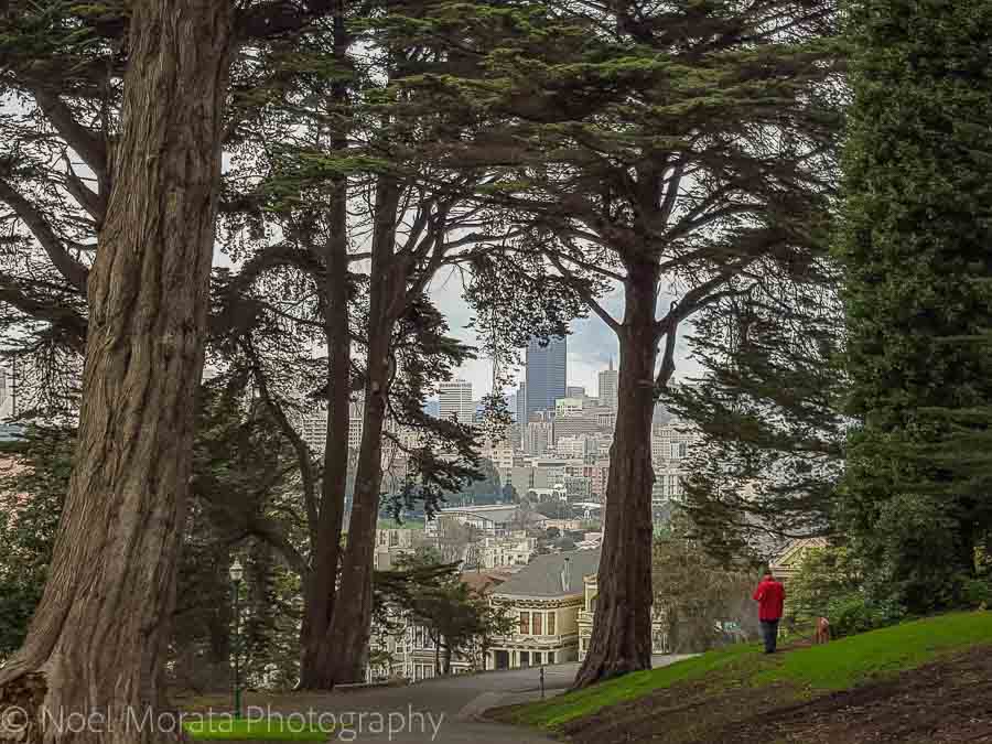 Alamo Square park - Fun and unusual activities to do in San Francisco