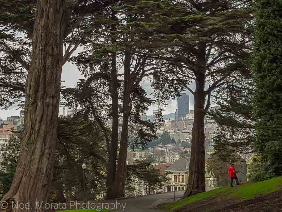 Fun and unusual activities to do in San Francisco