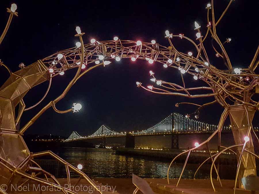 Illuminate SF - Fun and unusual activities to do in San Francisco