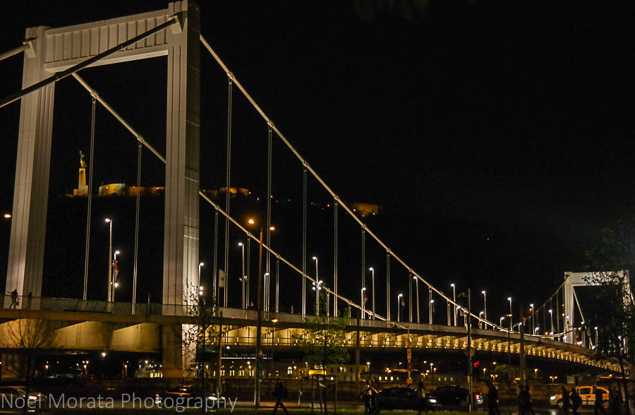 Elisabeth bridge at night in Budapest
