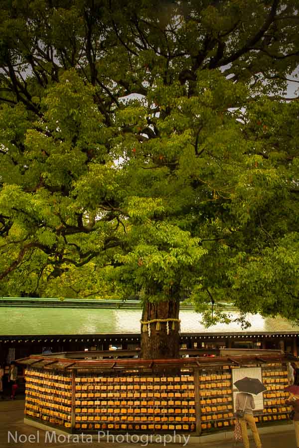Wishing tree at Meiji Shrine in Yoyogi park, Tokyo