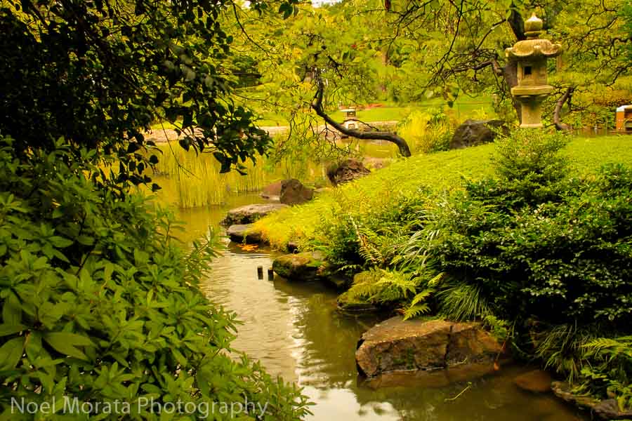 Shinjuku Goen in the Shinjuku district of Tokyo