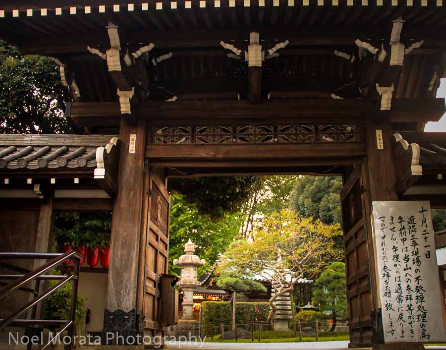Nogi Shrine in Tokyo - Best places to photograph Tokyo Japan