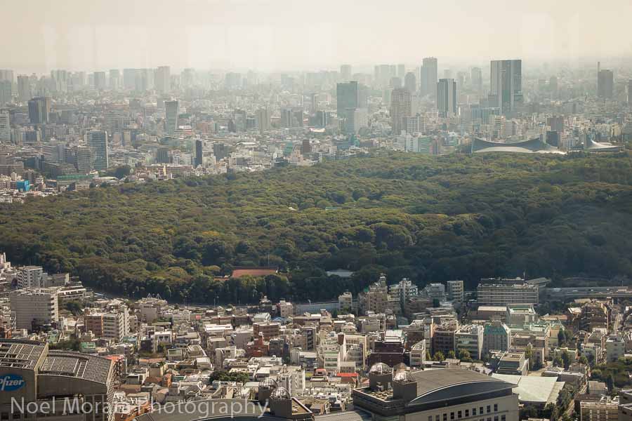 Yoyogi park in Tokyo - Best places to photograph Tokyo Japan