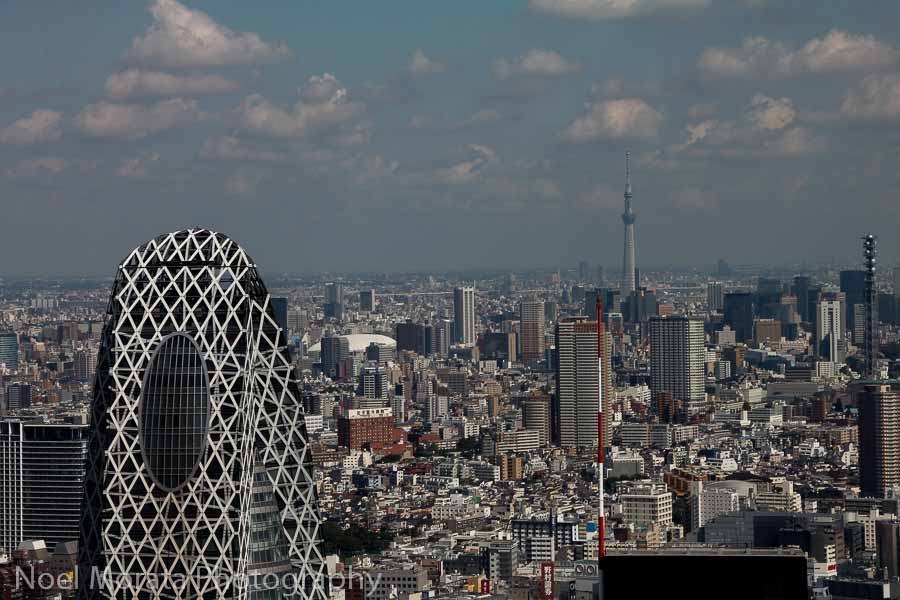 Best places to photograph Tokyo Japan