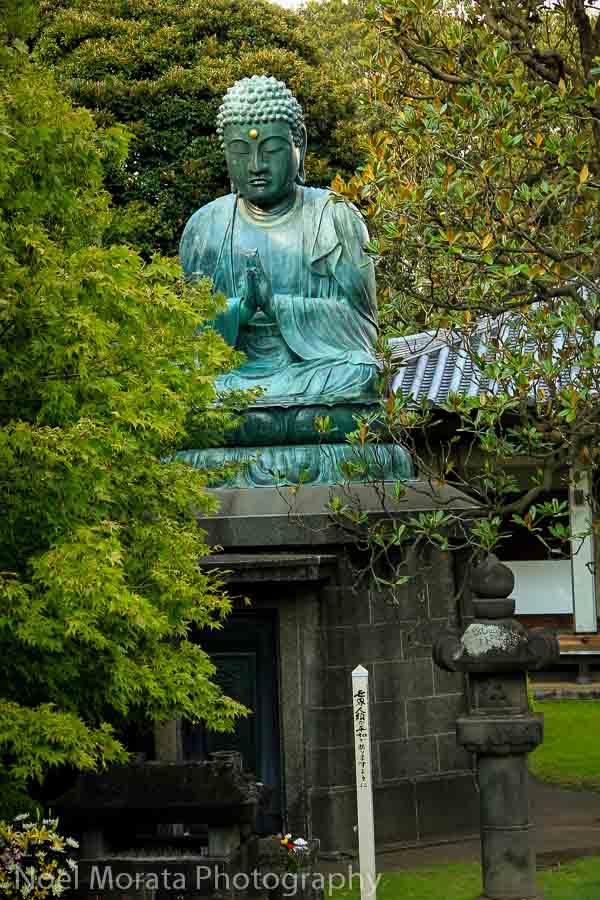 Tennoji Temple - Best places to photograph Tokyo Japan