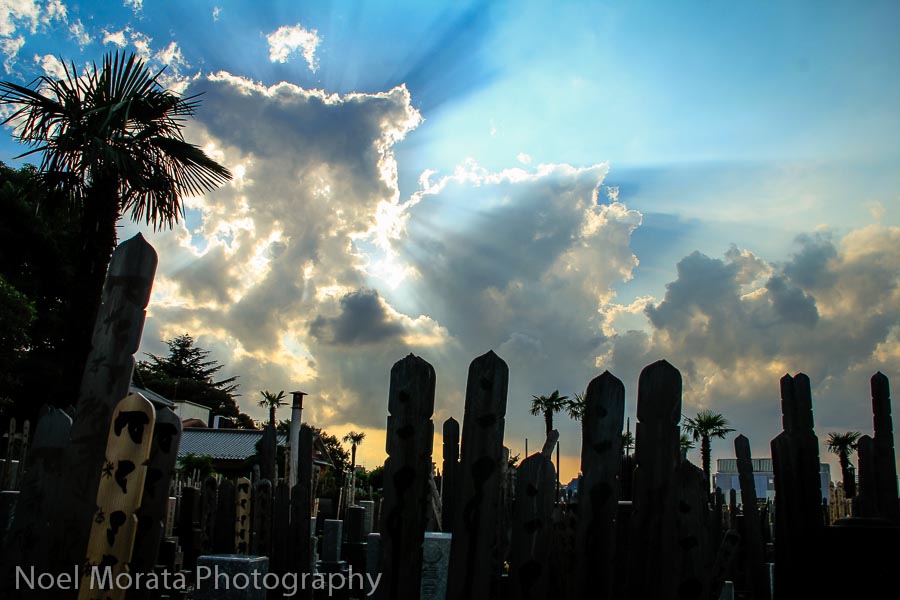 Yanaka Cemetery - Best places to photograph Tokyo Japan