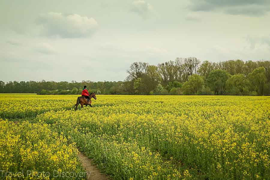 Horseback riding on the outskirts of Berlin Germany