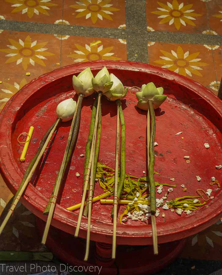 Lotus blossom offerings at the golden chedi of Doi Suthep