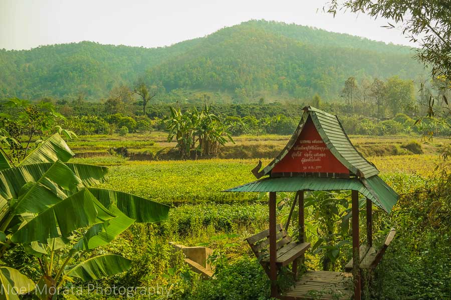 15 Top Places To Visit In Northern Thailand 