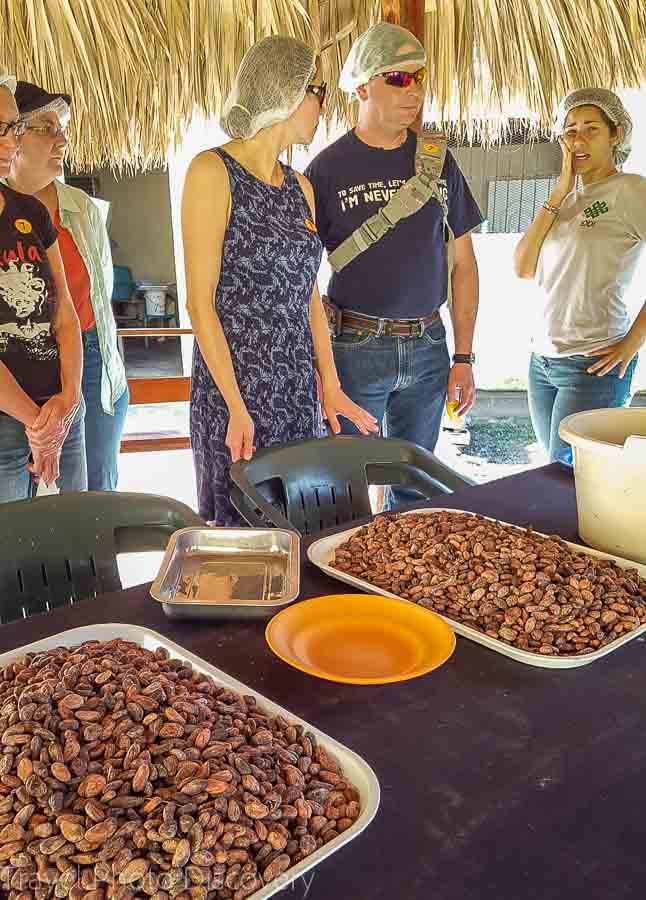 Cacao sorting at Chocal in the Dominican Republic