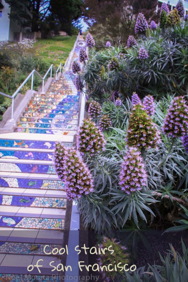 Cool stairs in San Francisco