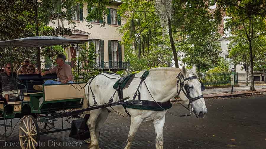Carriage rides on the Squares of Savannah Visit Savannah in 48 hours