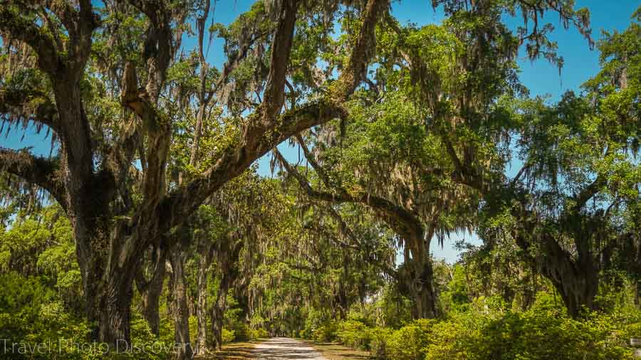 Bonaventure Cemetery Visit Savannah in 48 hours