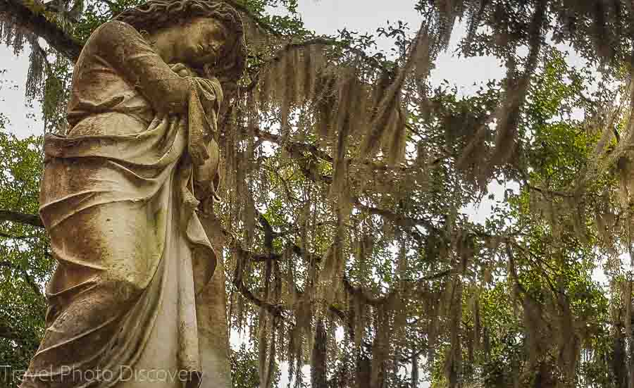 Entry gate state at Bonaventure Cemetery Savannah