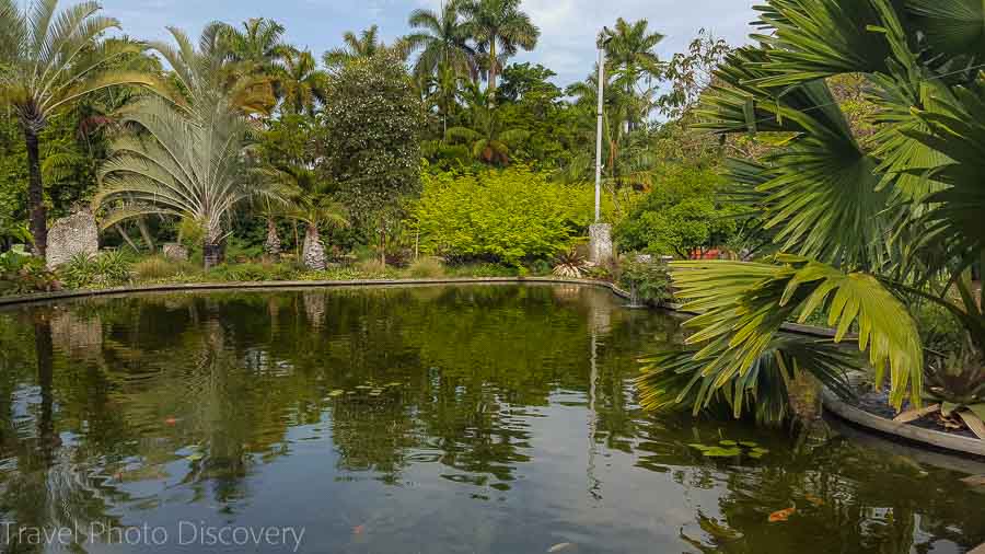 Natural pond Visit Miami, Miami Beach Botanical Garden