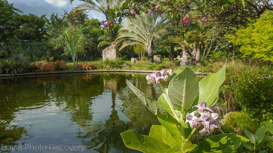 Natural pond Visit Miami, Miami Beach Botanical Garden