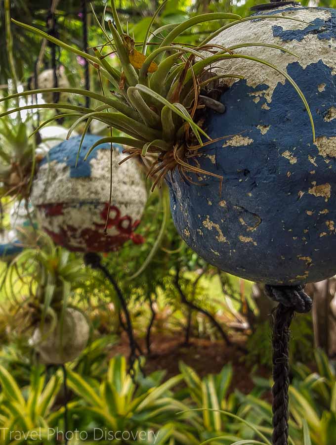 Garden art walk Miami Beach Botanical Garden