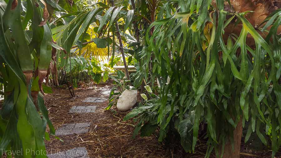 Garden walk Miami Beach Botanical Garden
