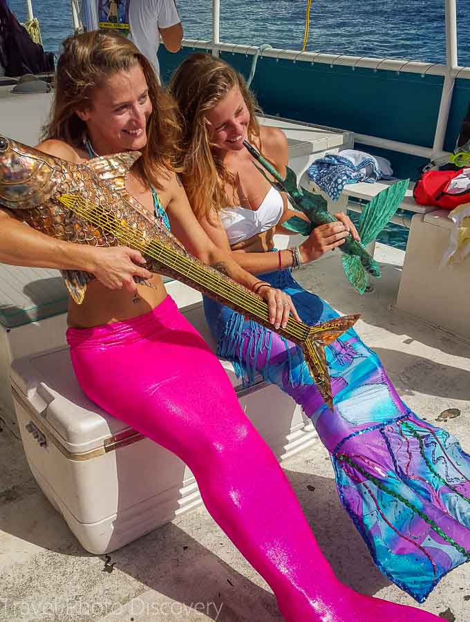 Mermaids at the Florida Marine National Sanctuary