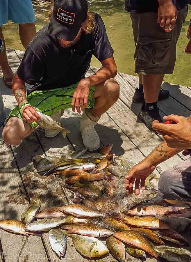 Separating and fileting fish at Capt Michael's fishing charter