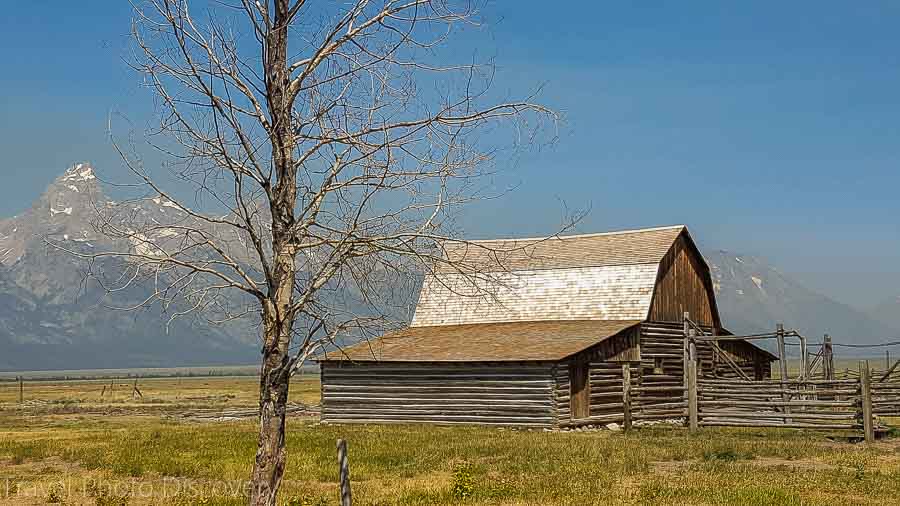 Mormon settlement Wildlife tour at Grand Teton National Park