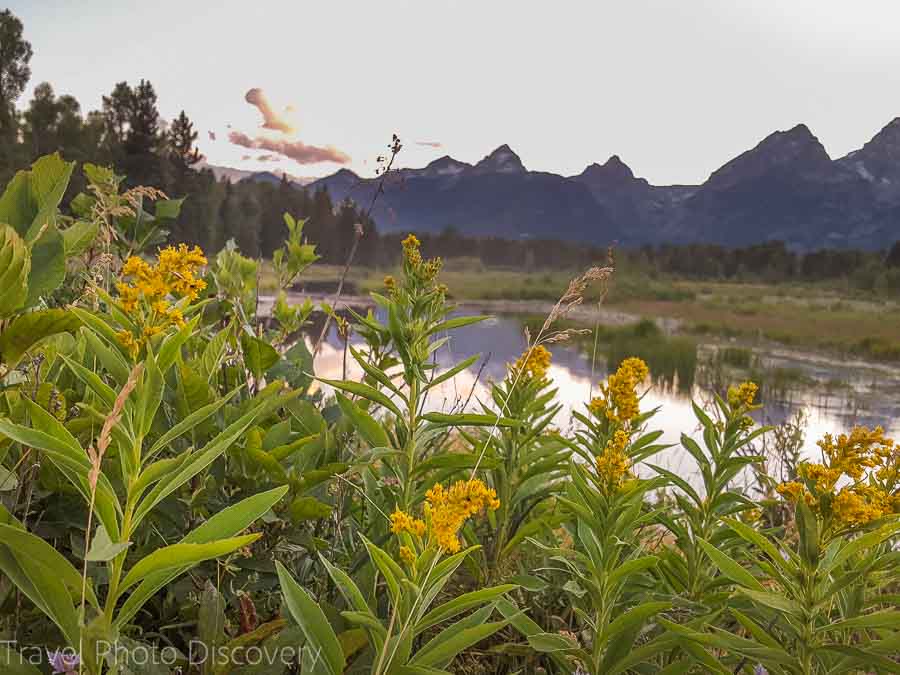 Snake river at sunset in Grand Teton National Park