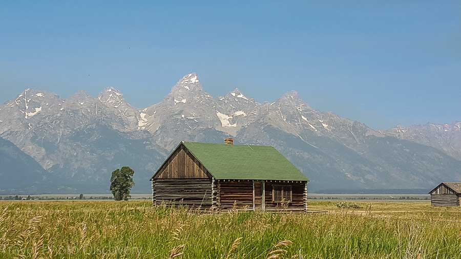 Mormon settlement Wildlife tour at Grand Tetons National Park
