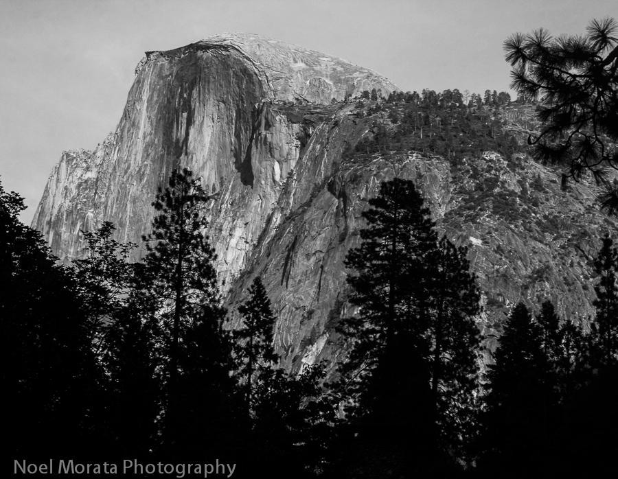 Celebrating the US National Parks Centennial