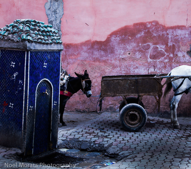 Streets around Marrakesh - 15 road trip photo tips