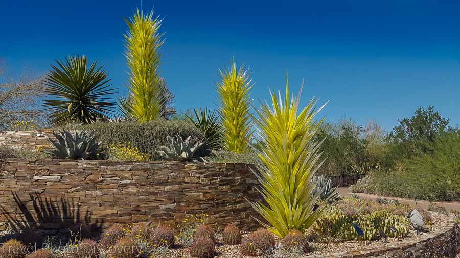 Desert Botanical Garden Weekend getaway to Phoenix Arizona