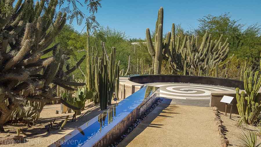 Sculpture garden Desert Botanical Garden in Phoenix Arizona