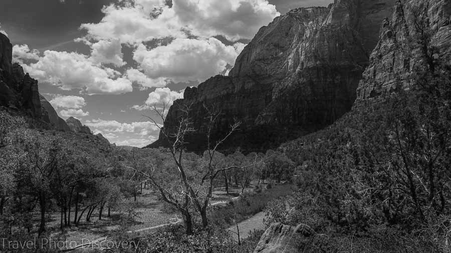 Kayenta trail Zion National Park Utah