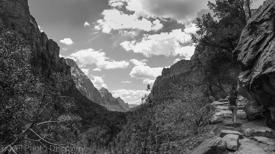 Kayenta trail Zion National Park Utah