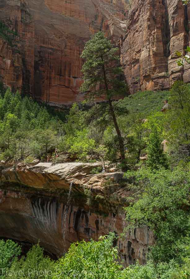 Hikiing up to the Emerald pools trail at Zion National park