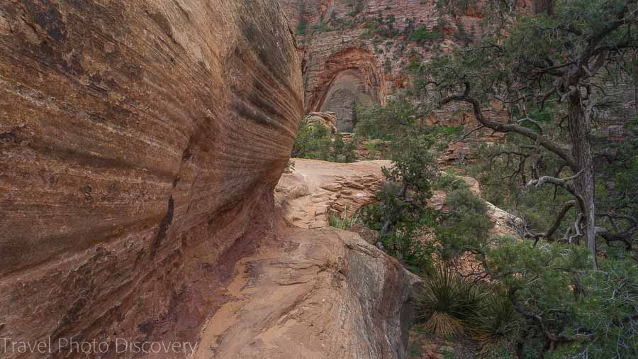 Open ledges and trail to the overlook area Zion National Park