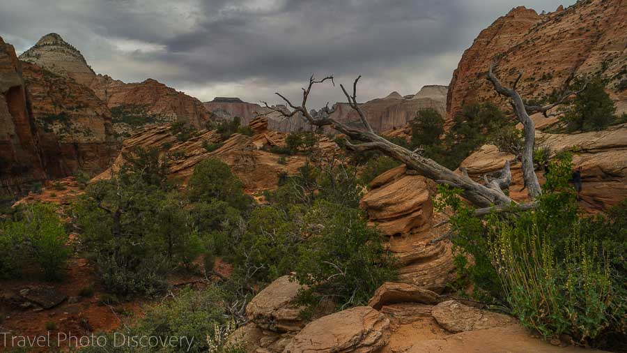 Open ledges and trail to the overlook area Zion National Park