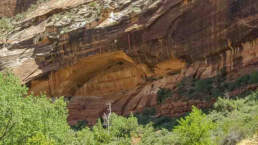 Weeping rock trail at Zion National park Arizona