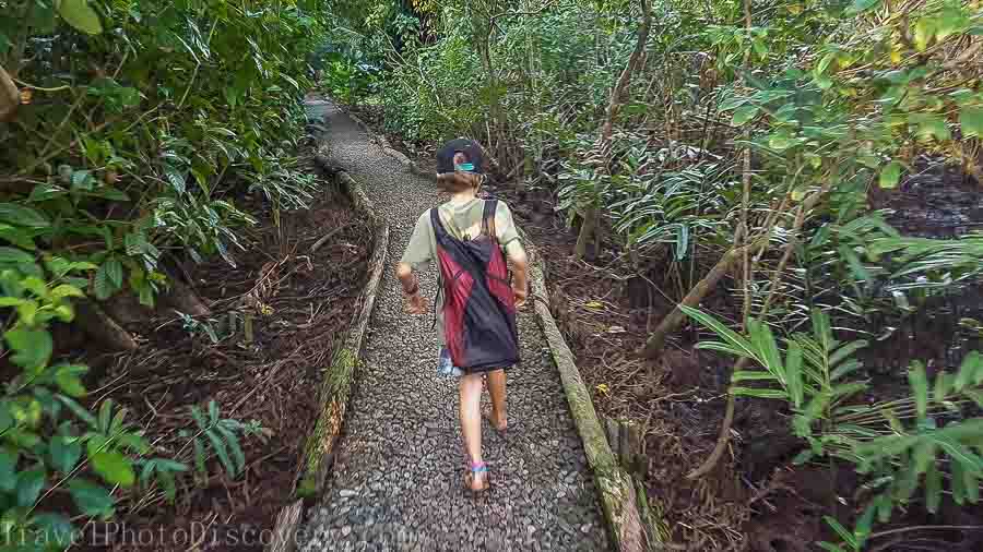 Walking to the main lodge at La Loma in Bastimentos Panama