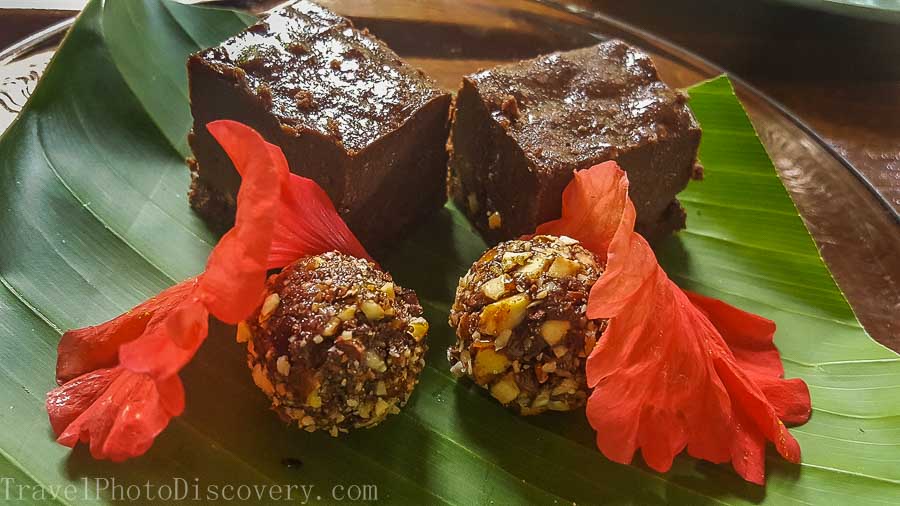 Cacao tour lunch and desserts at La Loma Bocas del Toro