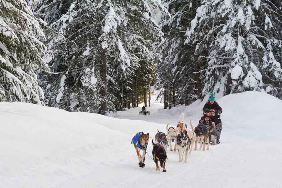 Top adventure and eco experiences dogsledding in Canada