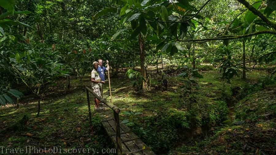 Chocolate cacao tour at La Loma in Bocas del Toro Panama